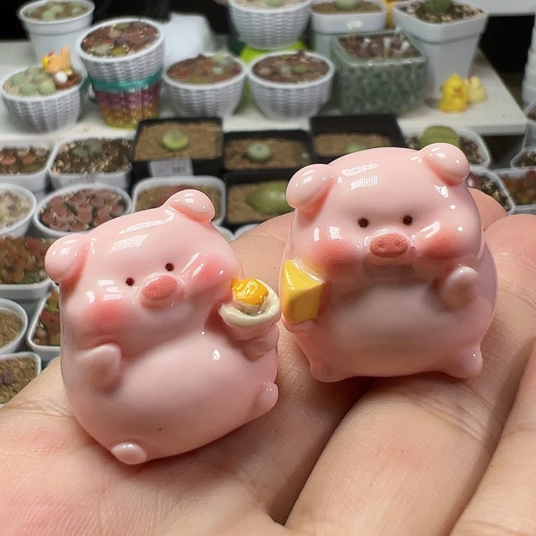 多肉植物实付满9.9包邮163