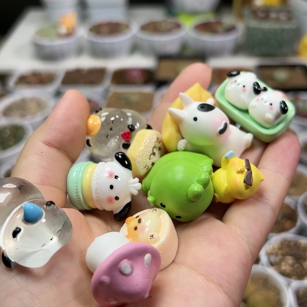 多肉植物实付满9.9包邮109一起