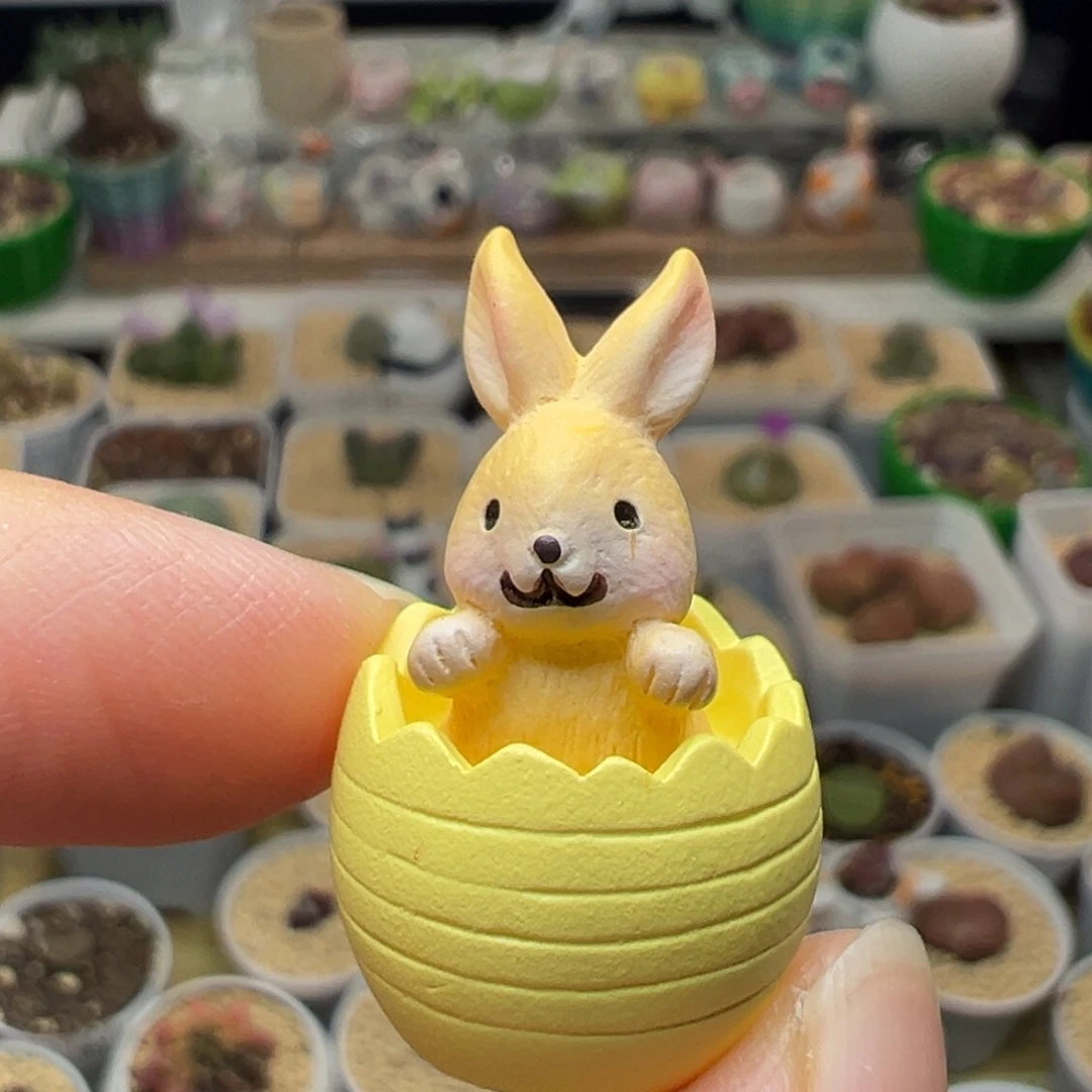 多肉植物实付满9.9包邮167