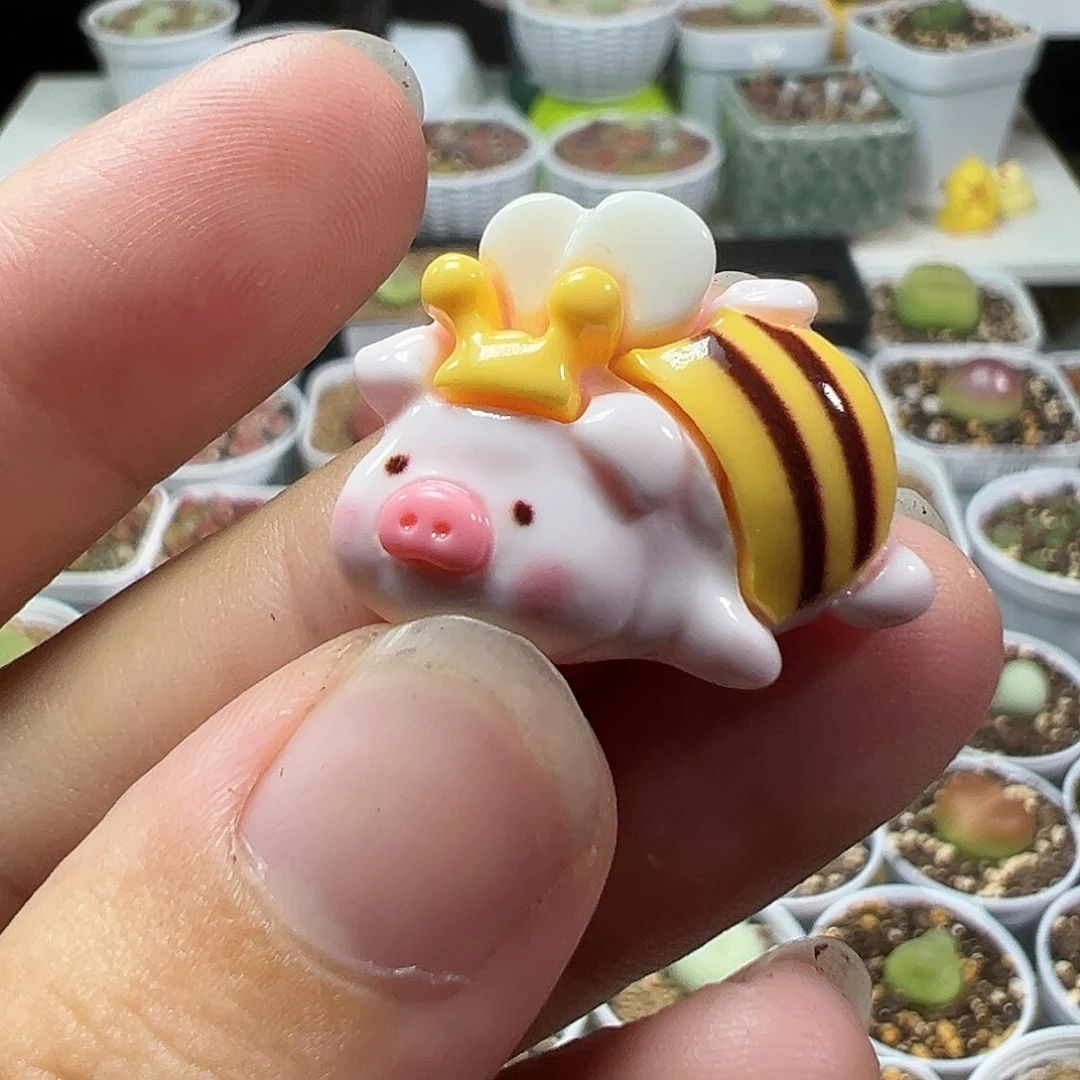 多肉植物实付满9.9包邮207