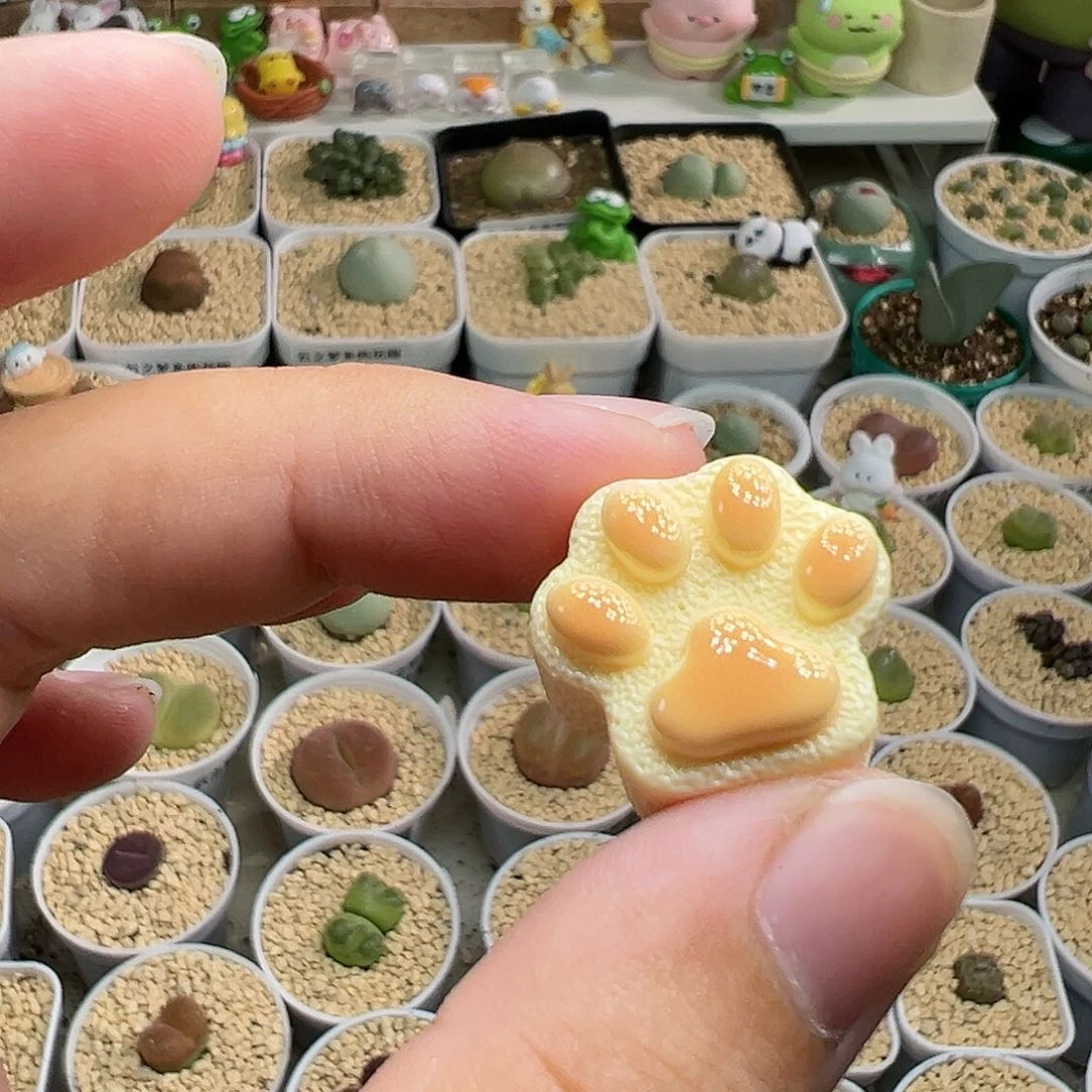 多肉植物实付满9.9包邮227压盆石