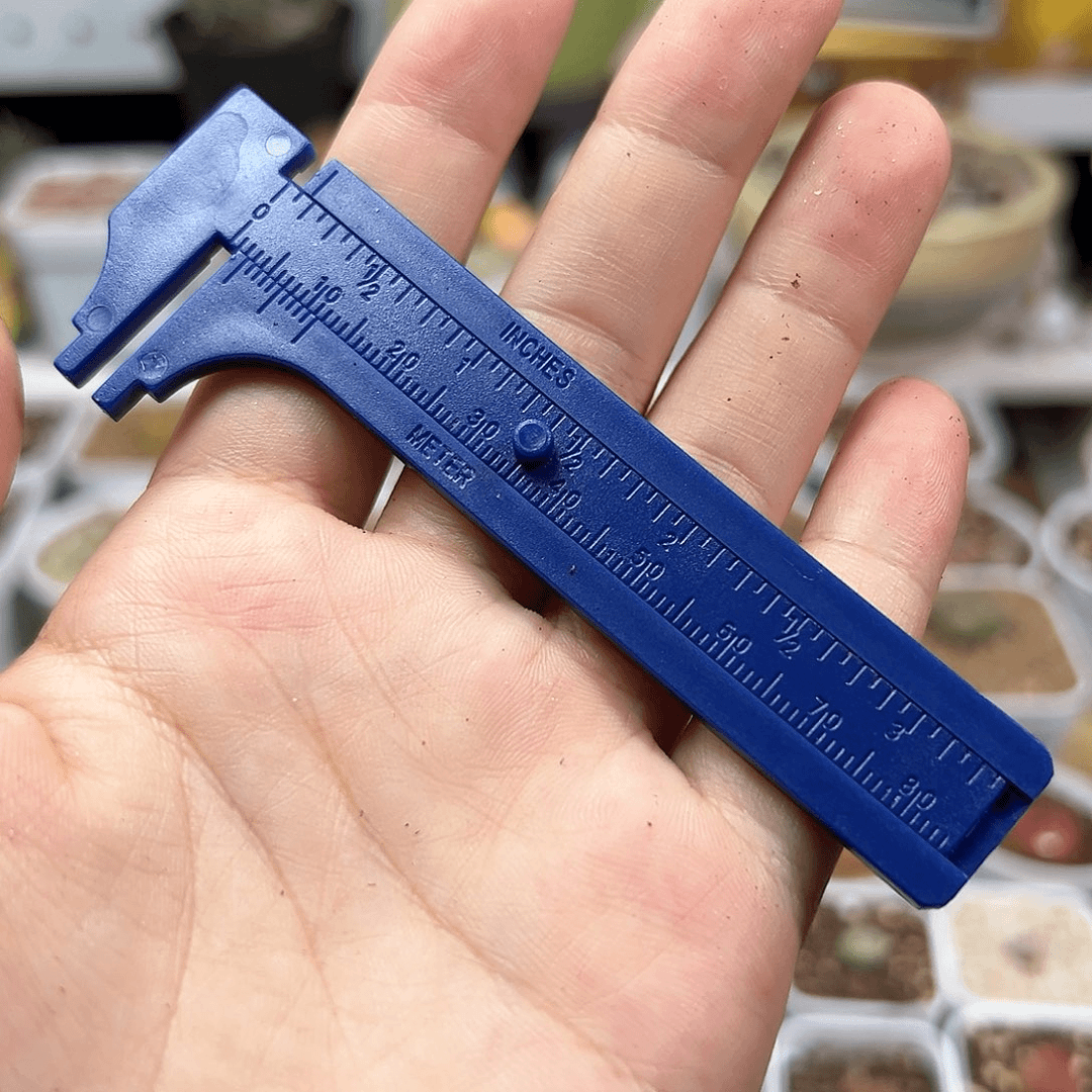 多肉植物实付满9.9包邮一把卡尺