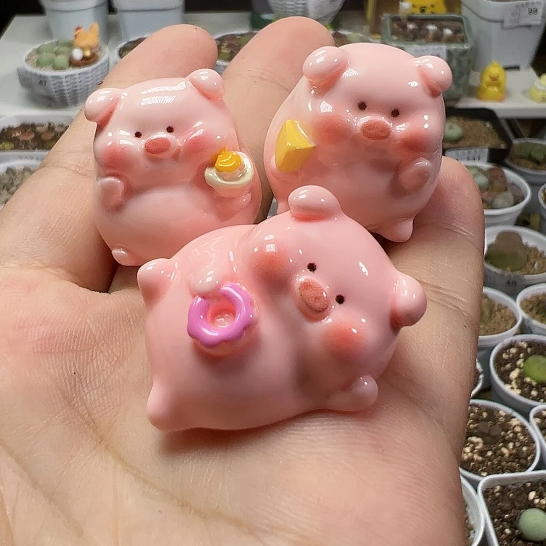 多肉植物实付满9.9包邮95