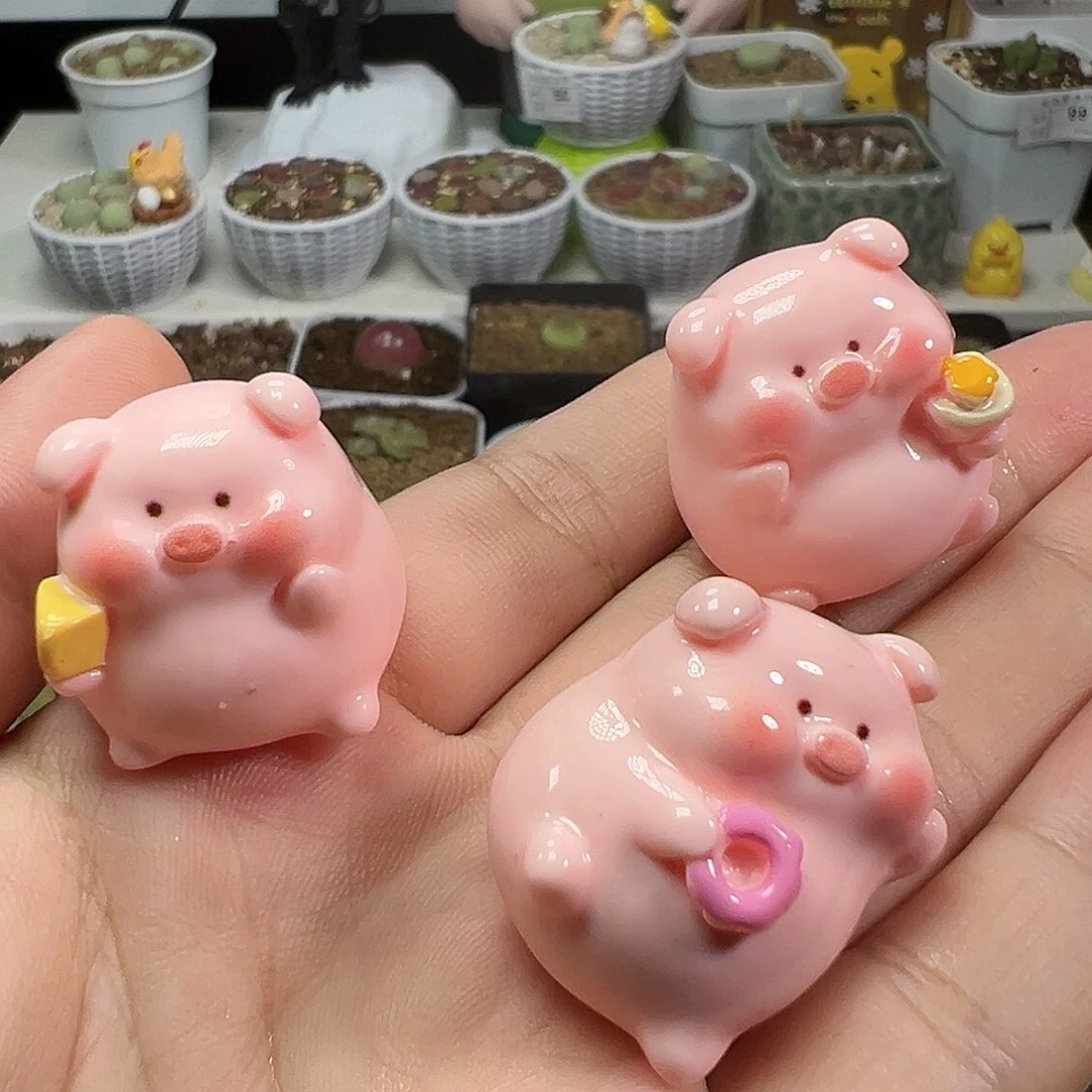 多肉植物实付9.9包邮157