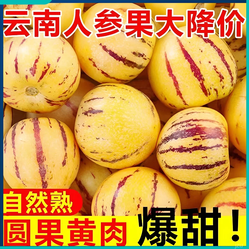 云南人参果当季新鲜水果黄肉人心果圆果人生果特产石林人参果包赔