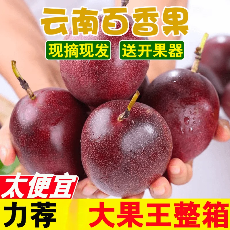 广西台农紫皮百香果大果新鲜现摘皱皮大果云南产地包邮