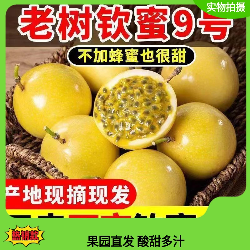 【新鲜现摘】广西黄金百香果钦蜜9号大果新鲜批发盒装鸡蛋果包邮