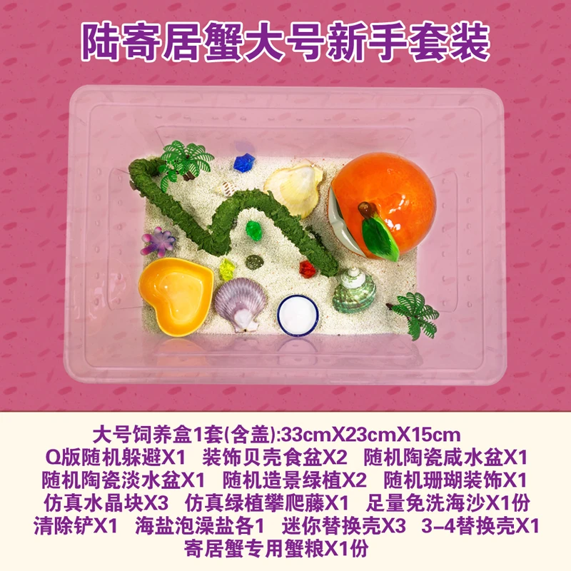 爬宠养殖箱观赏寄居蟹乌龟懒人宠物