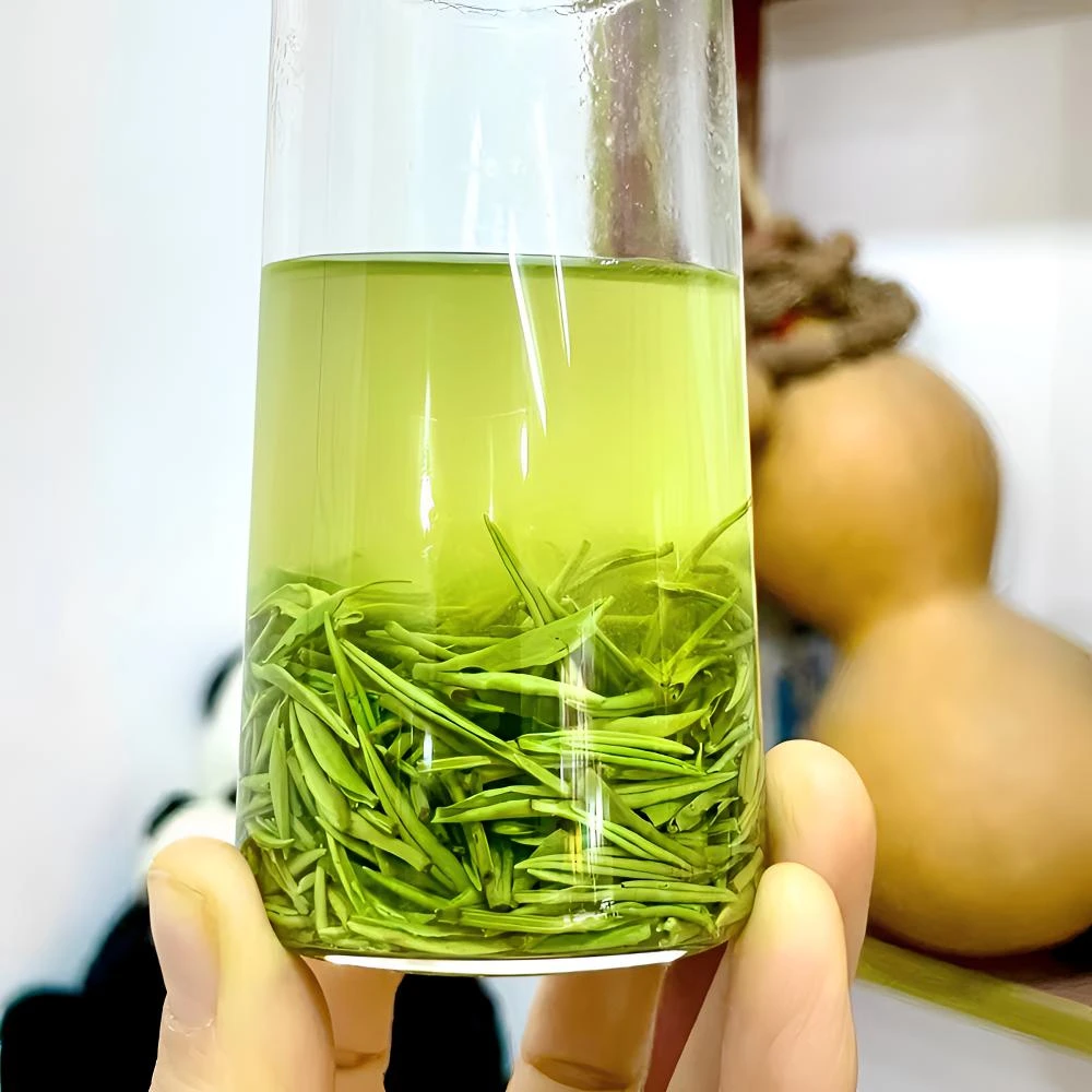 信阳精选绿茶炒制毛尖茶香嫩芽茶叶明前中芽浓香型250g盒装/袋装