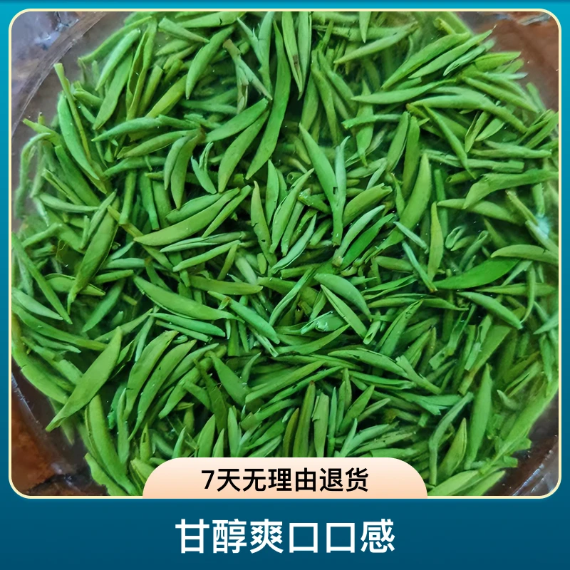 2025信阳精选绿茶毛尖明前精选高山嫩芽125克清香毛尖茶叶盒装