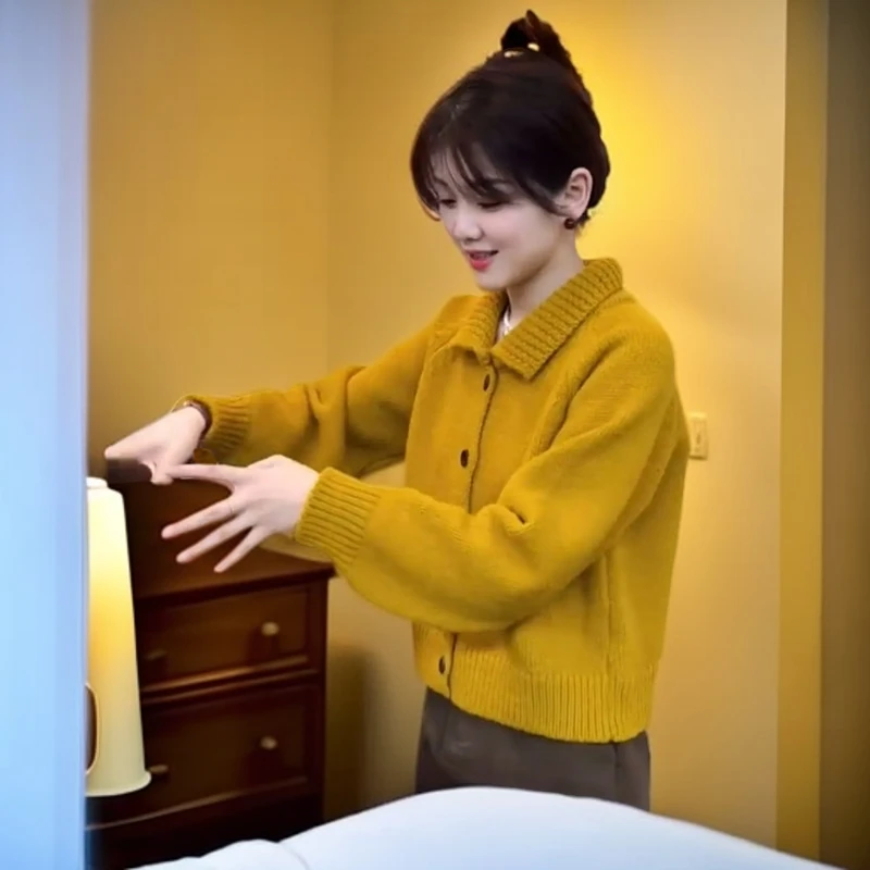 复古翻领短款慵懒风针织开衫毛衣女秋冬季新款宽松翻领长袖上衣厚