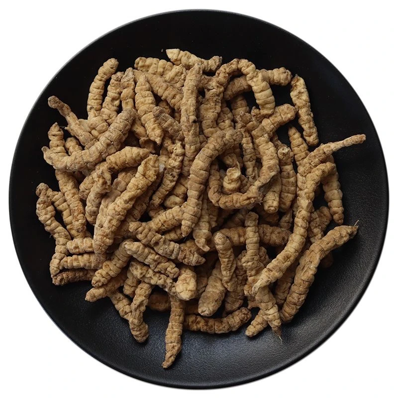 2.现收云南土特产虫草参干货食用