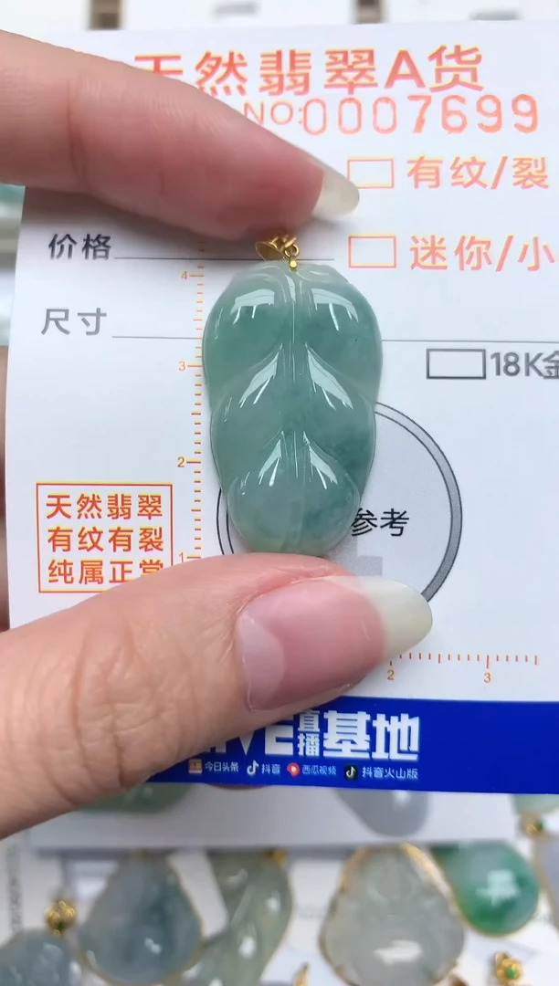 【闪购商品】翡翠颈饰未镶嵌876354348678