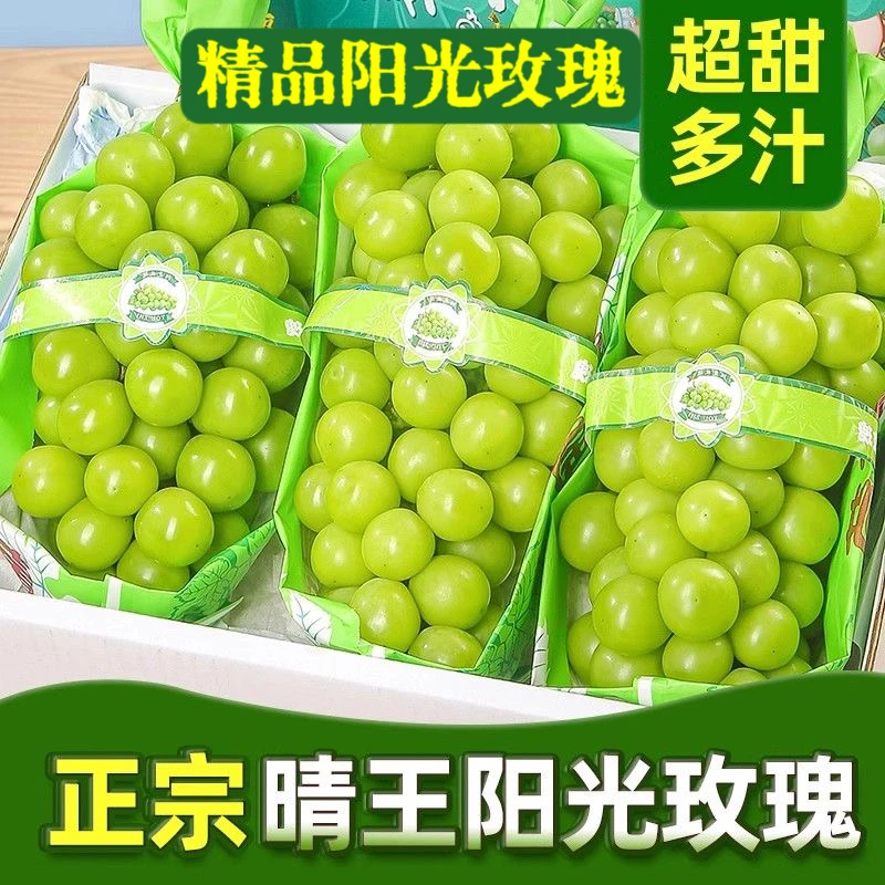 【超A一级果礼盒装】大凉山精品阳光玫瑰新鲜多汁水果提京东发货