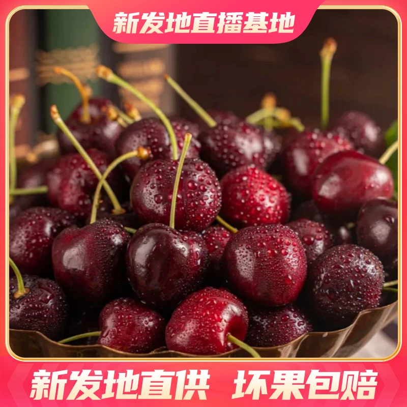 【小科迪亚】智利空运3JD【原箱】阿瑞卡Areko车厘子 新鲜脆甜爆汁！