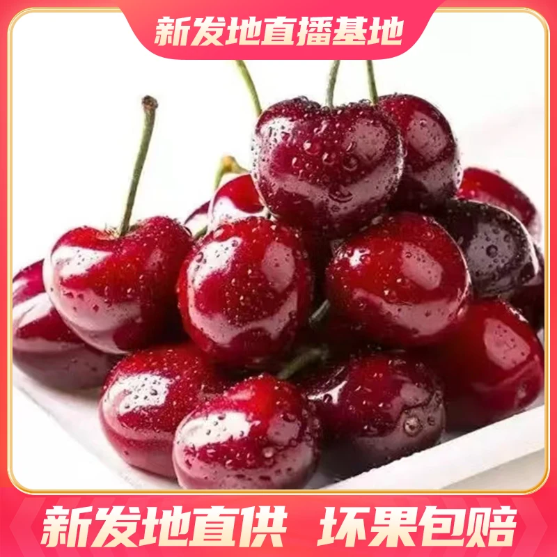 【3JD拉宾斯5斤原箱】智利萌虎拉宾斯车厘子原箱 黑车新鲜爆汁