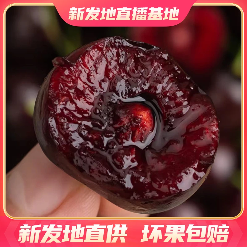 【粉丝福利】智利进口2JD桑提娜车厘子原箱装 新鲜爆汁