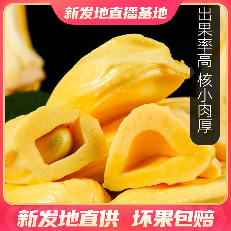 【新发地】越南红肉菠萝蜜【9-12斤】一颗装 香甜可口 出肉率高