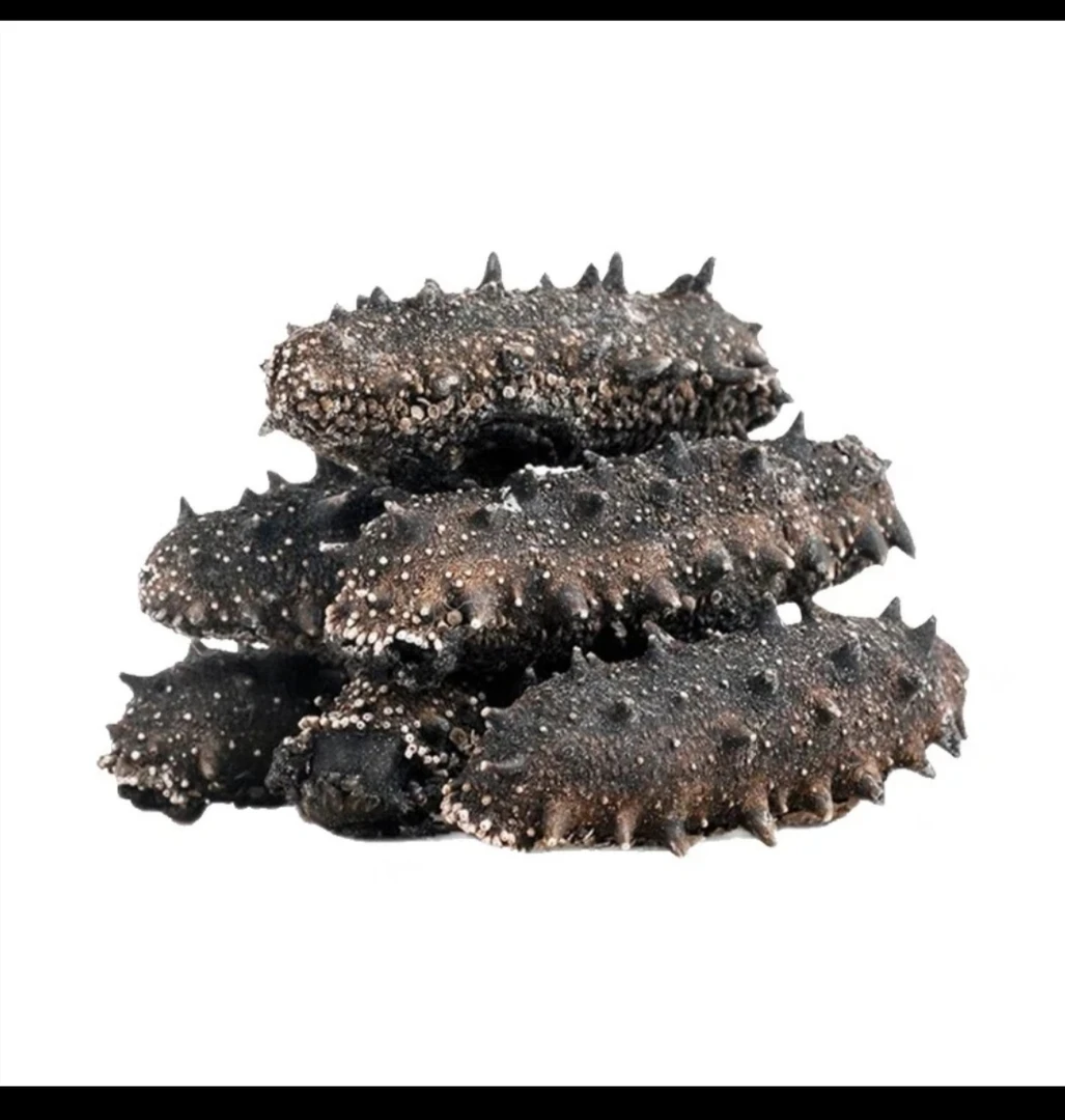 长岛深海纯淡干海参