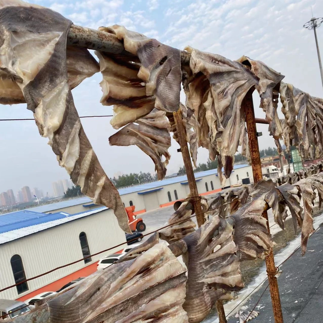 大连野生老板鱼裙边/3斤（泡6-8小时再食用）