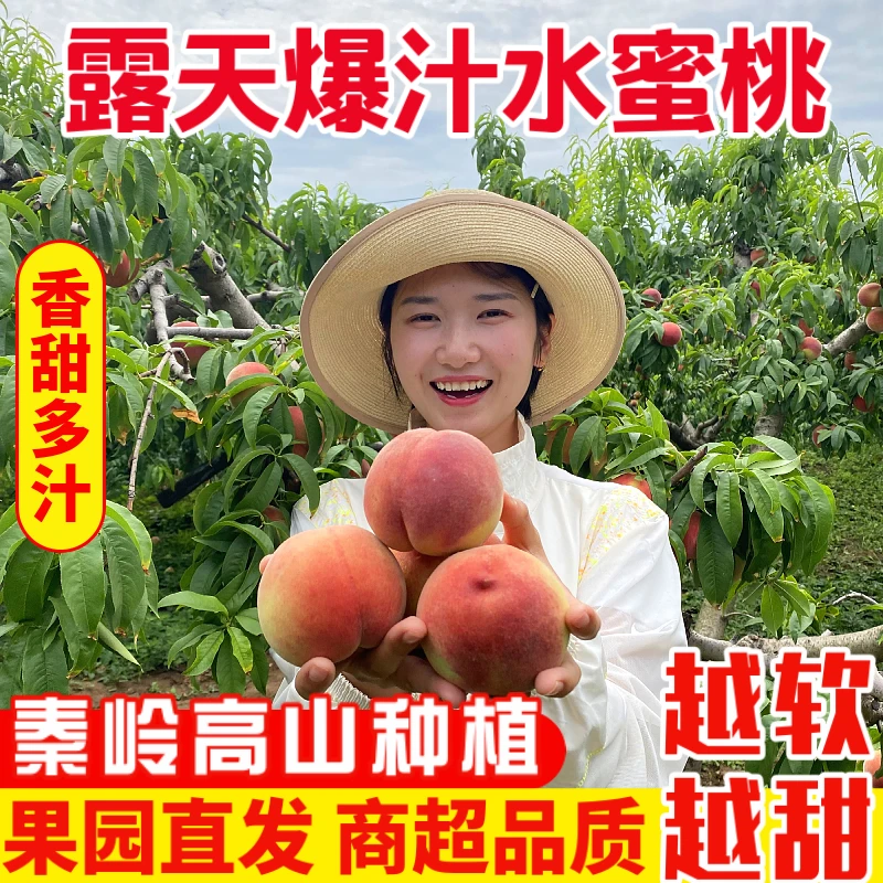 【中通 晚熟撕皮水蜜桃多养了20天很甜！】陕西秦岭爆汁水蜜桃4.5斤