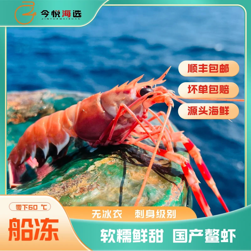 今悦海选东海海鲜船冻海鳌虾 3斤/盒 刺身级别