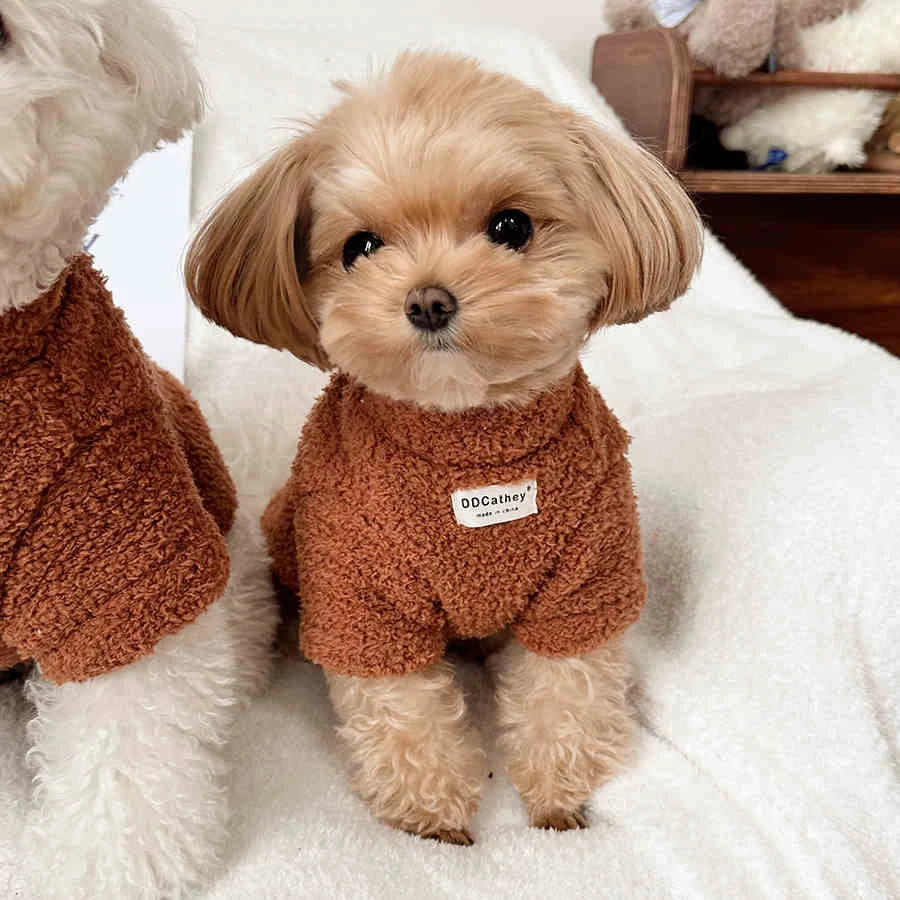 狗狗衣服秋冬款洋气背心雪纳瑞泰迪比熊中小型犬保暖小猫小狗衣服