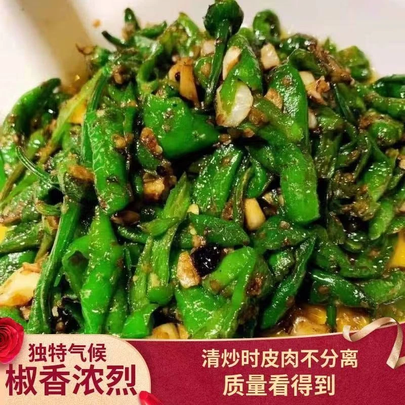 樟树薄皮辣椒现摘新鲜富晒辣椒青椒薄皮嫩微辣不辣特辣辣椒产地供