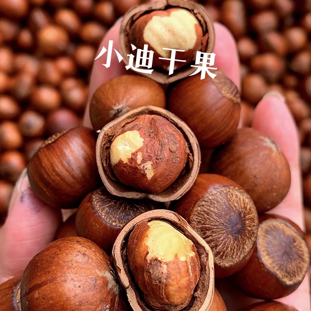 新货东北炒熟大榛子原味薄皮营养美味二元榛子2/3/5斤包邮送钳子