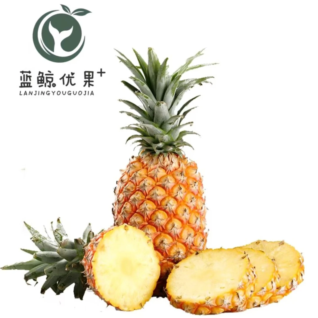 【家庭量贩】精品凤梨 整果 约1.5kg-1.6kg(默认不切）
