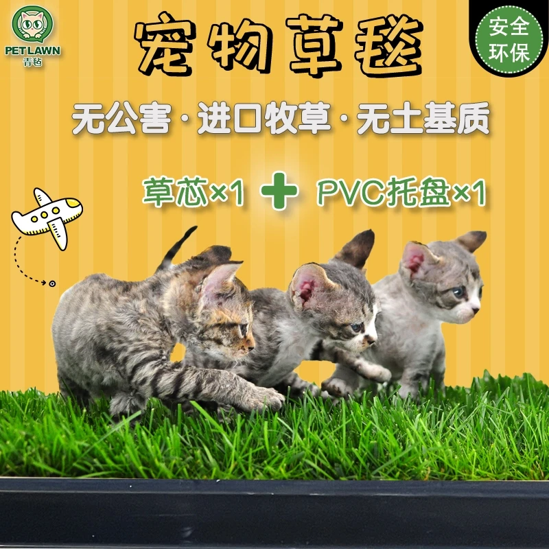 青毡标准版：多功能真草草毯