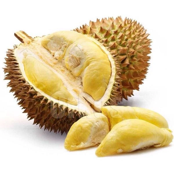 一物一拍  金枕榴莲 鲜果现开
