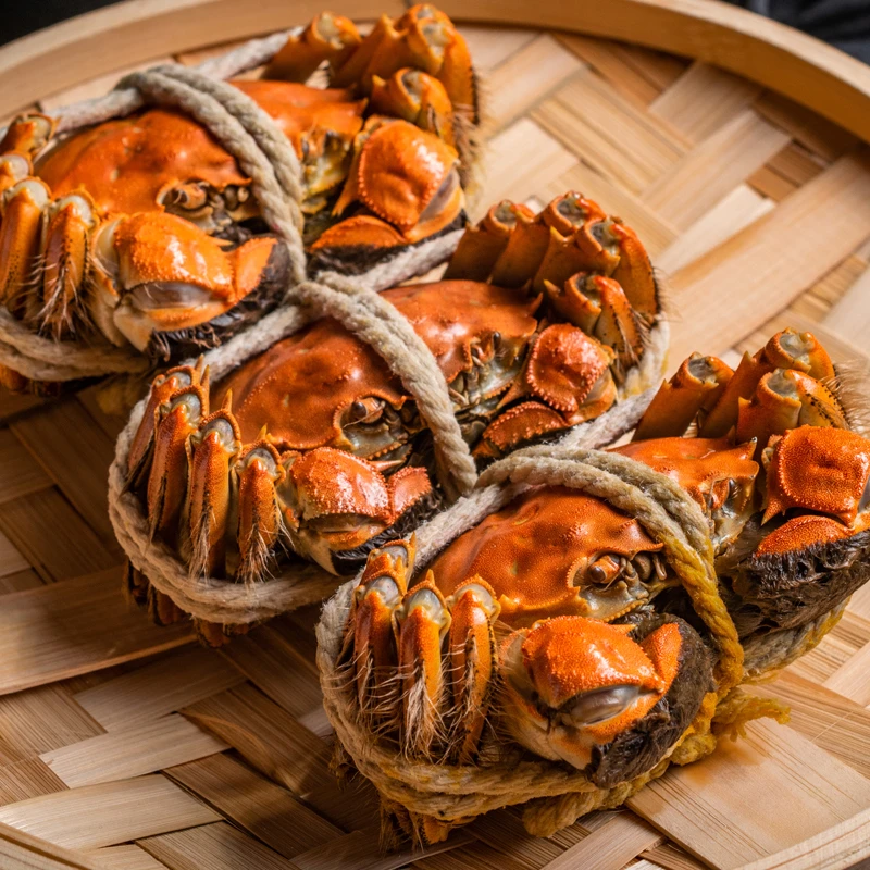 全母蟹【可预约】大螃蟹（2-1.7两）8只/10只京东/顺丰礼盒吃蟹工具