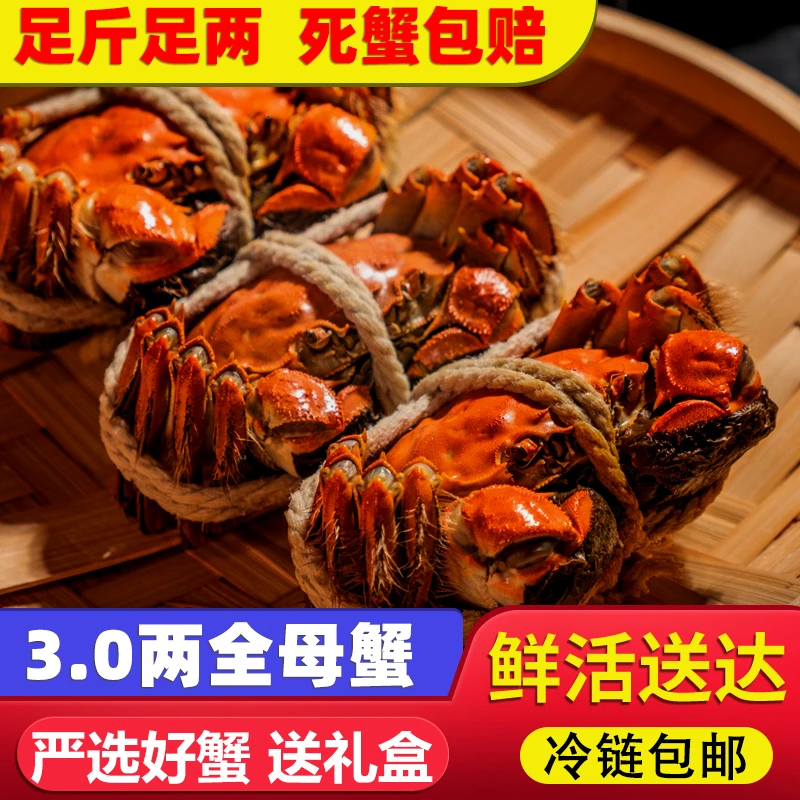 【金标蟹】全母蟹3·0两礼盒装 大闸蟹新鲜鲜活6只/8只/10只冷链上门