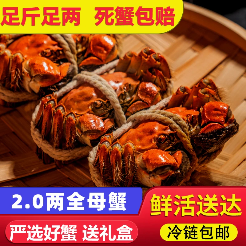 活蟹【买8只送2只】全母蟹2两苏州大闸蟹顺丰京东冷链礼盒吃蟹工具