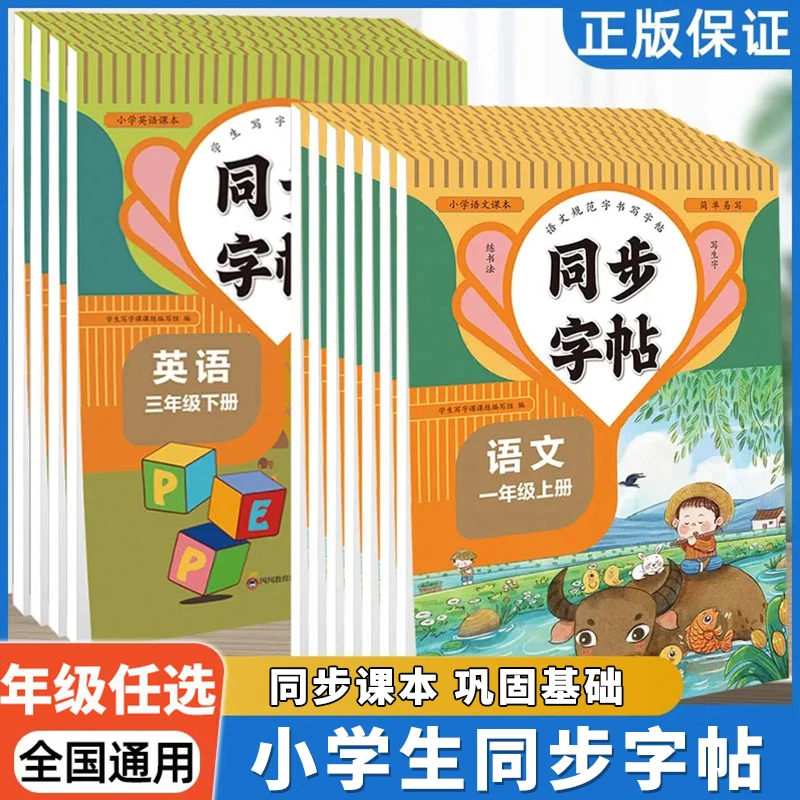 同步字帖  生字每日一练 语文英语临摹初学者练字神器同步写字帖