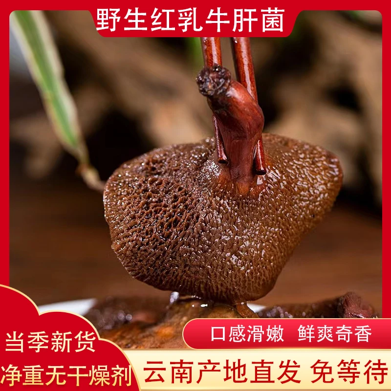 红乳牛肝菌干货100g云南深山食用菌子农家特产口感爽滑浓郁鲜香
