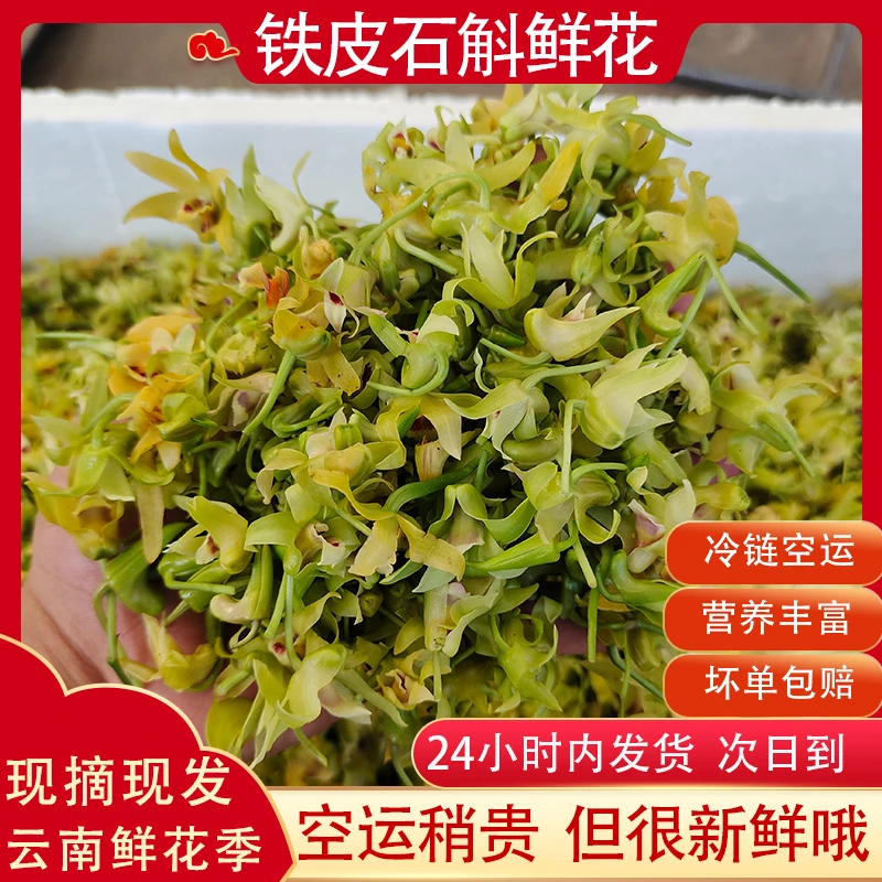 新鲜铁皮石斛鲜花云南食用花枫斗新花现摘现发农家自产发货