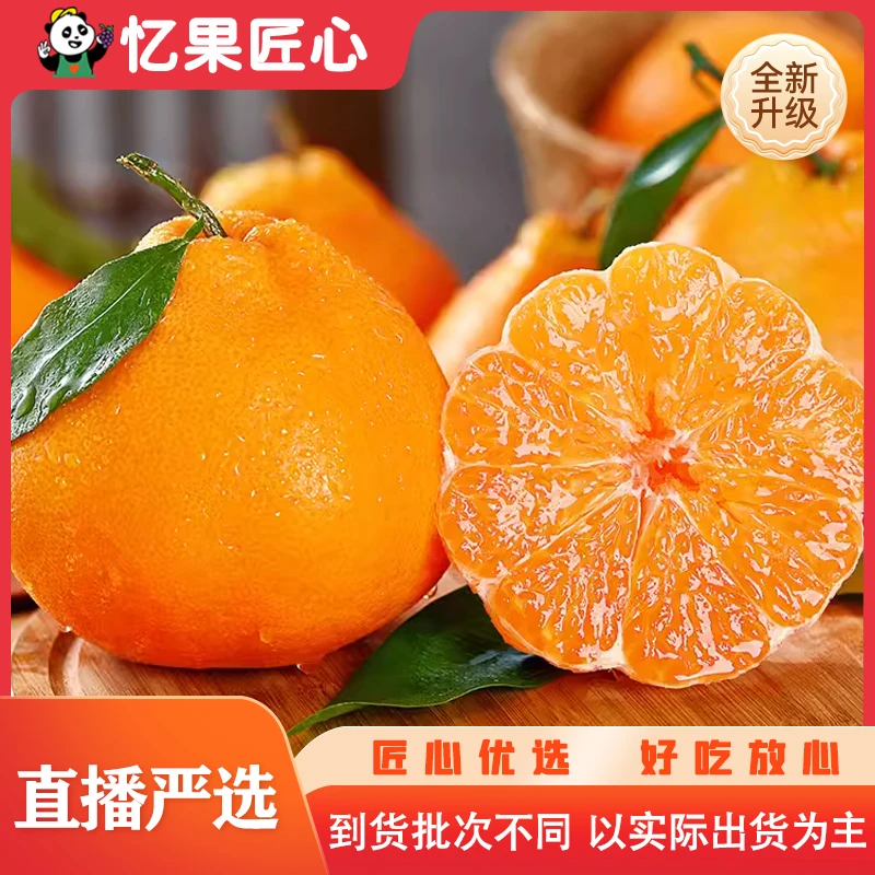 【B级】耙耙柑5斤九甜一酸汁水多粑粑
