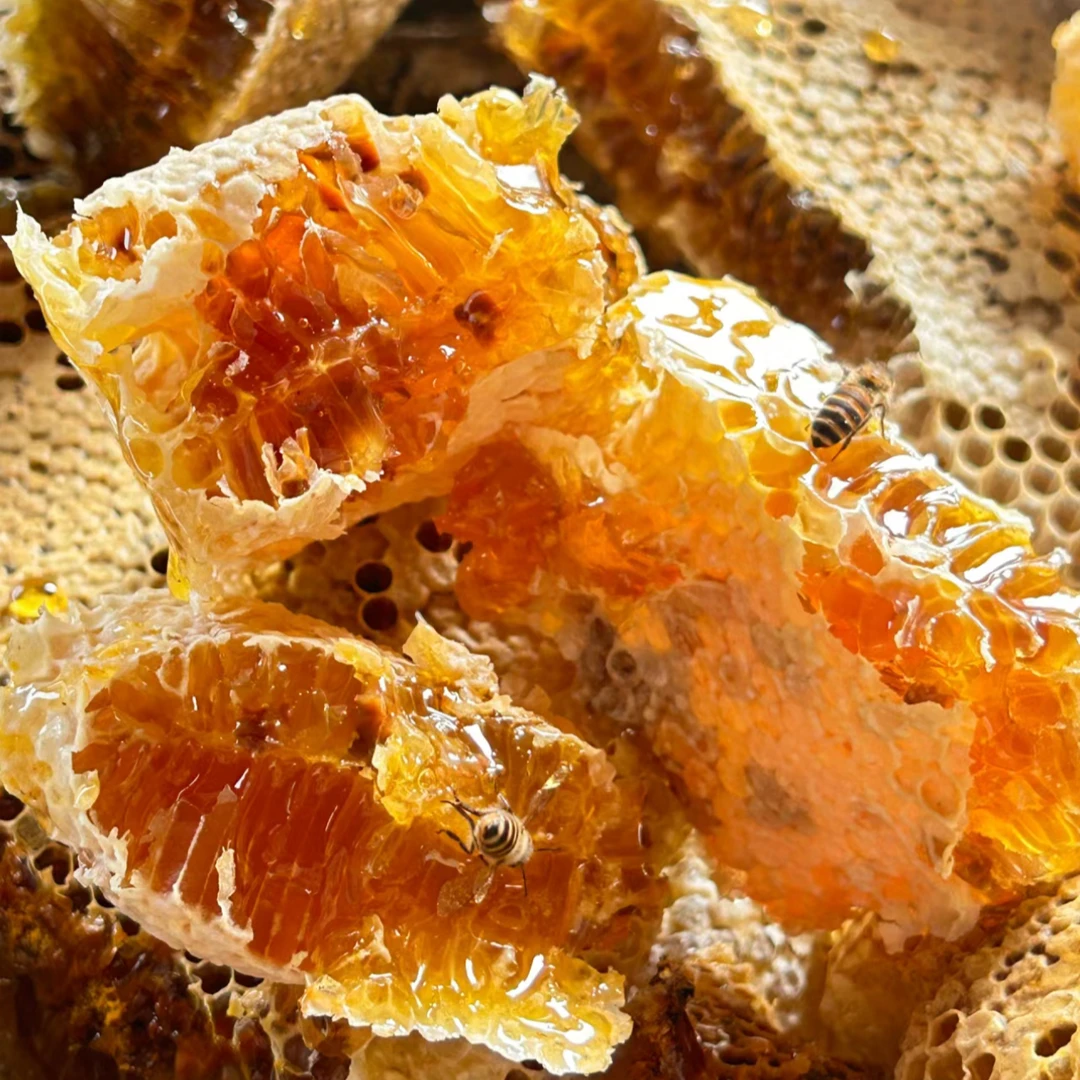 【蜂蜜】沿河山区干净蜂蜜一年一摘纯花蜜不喂白糖