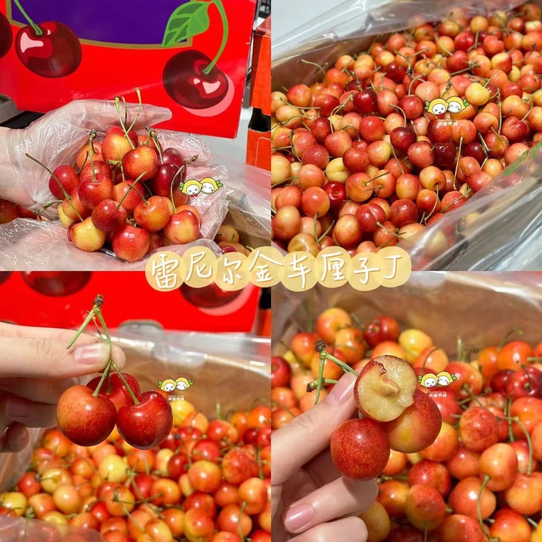 【闺蜜甄选】雷尼尔金车（1斤）