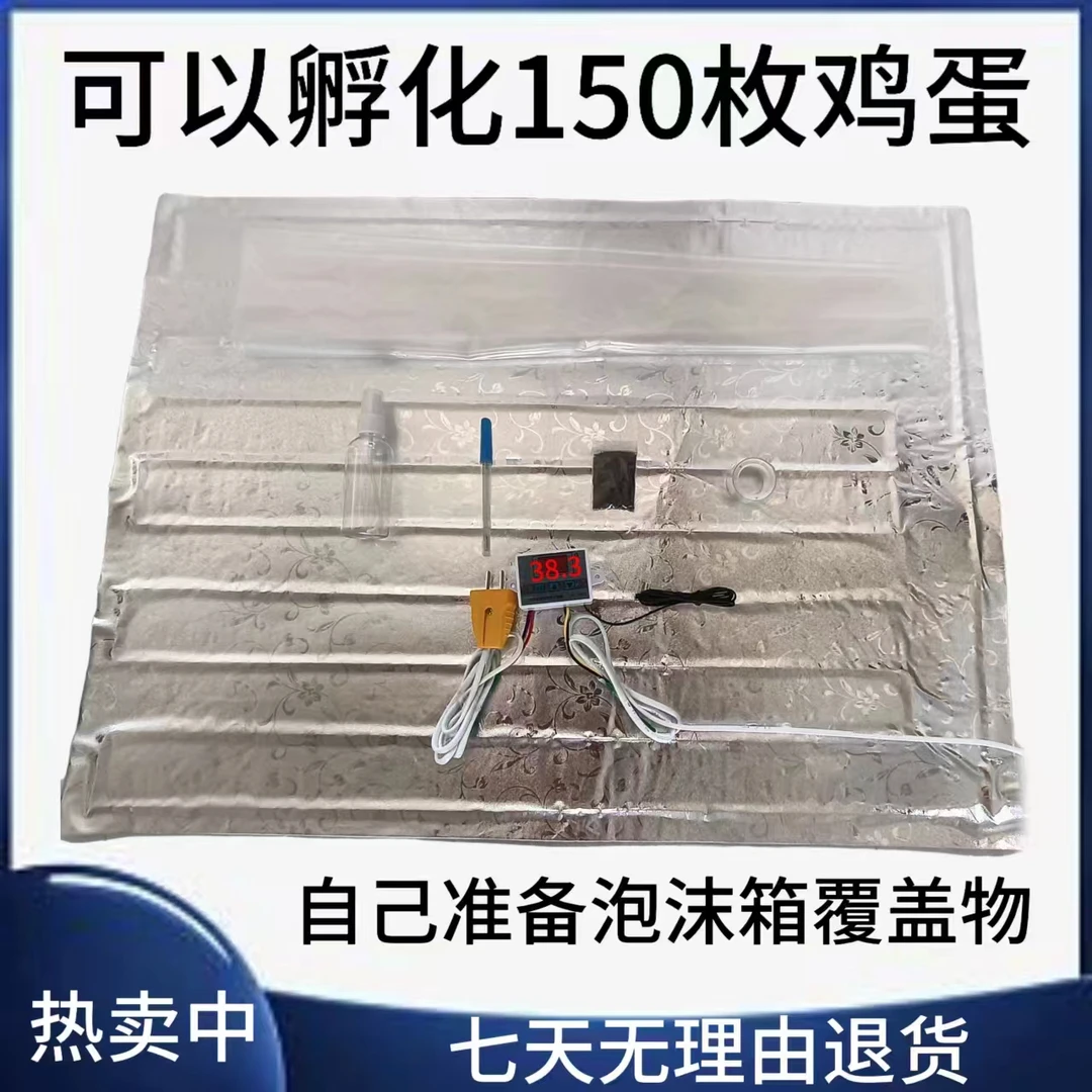 枚水床孵化器配件（需自备全自动×箱体和覆盖物）可孵鸽子等