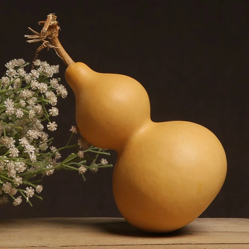 小李葫芦直播专享（直播专享，一物一拍，）