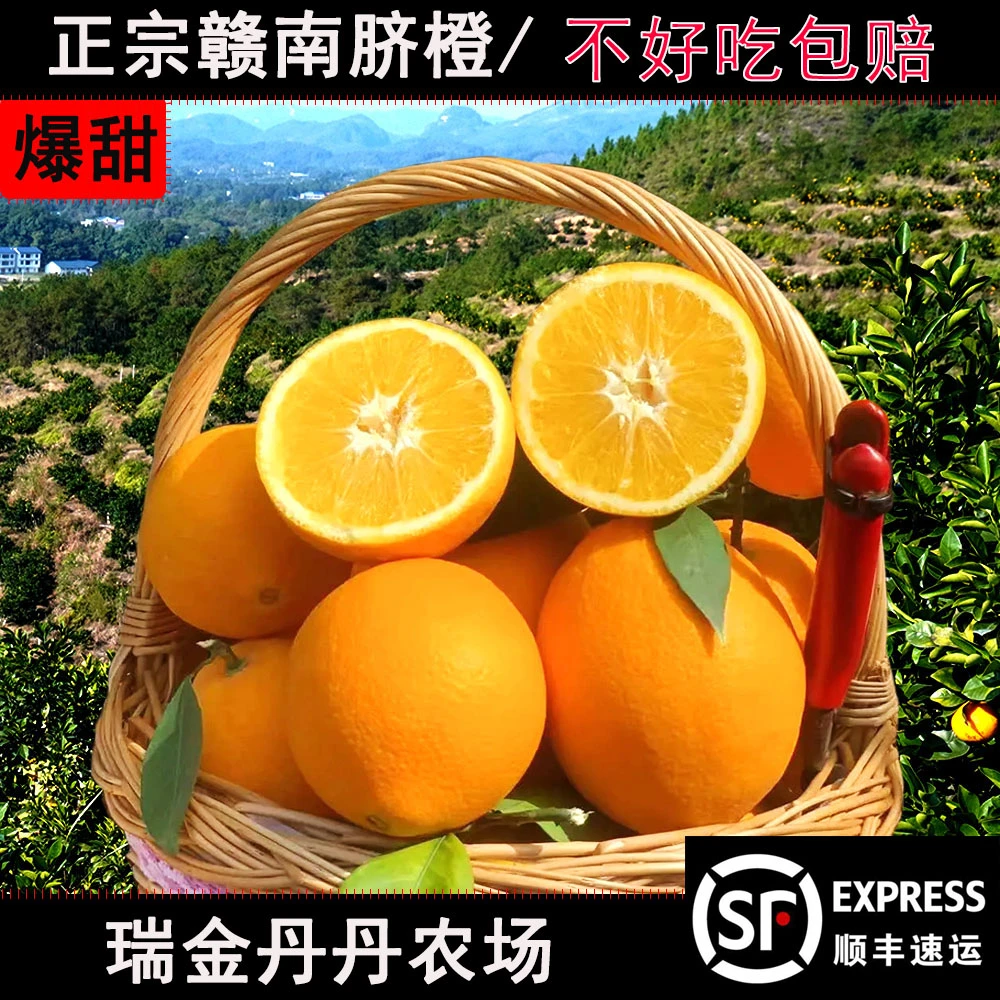 瑞金丹丹农场直供现摘新鲜正宗赣南脐橙20斤顺丰京东当应季水果