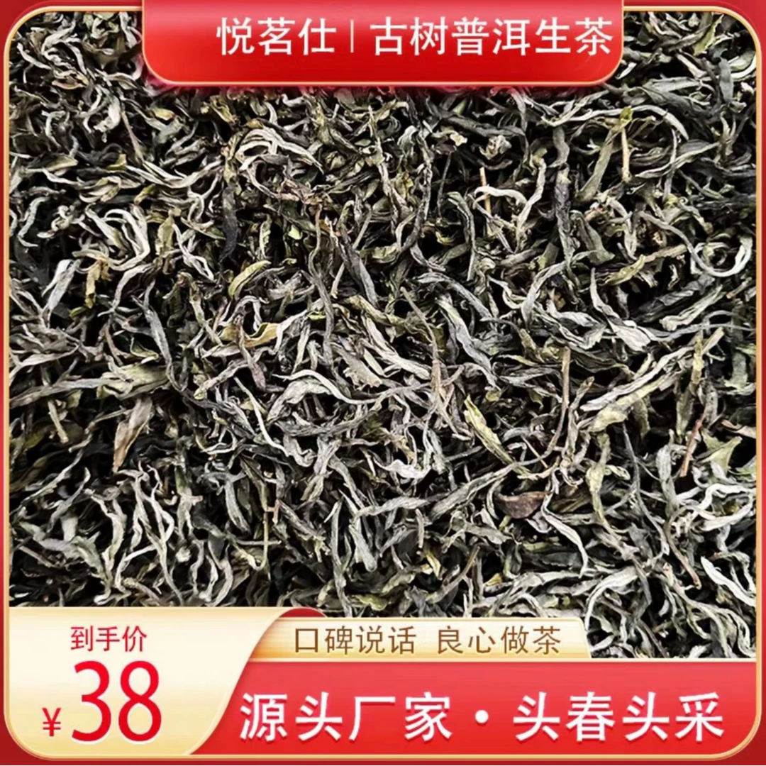 2024年贺开老寨散茶三百年以上古树头春头采10克