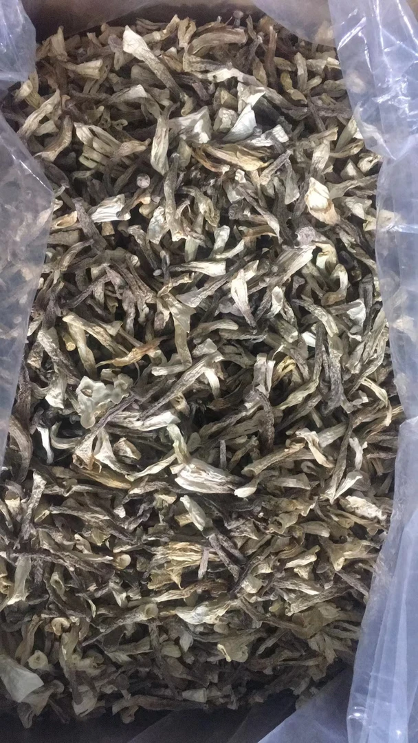 爆款推荐新年鹿茸菇原产地直发