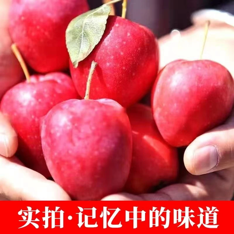 【乌鲁木齐发货】新疆伊犁香妃海棠脆甜多汁香味浓郁应季新鲜海棠果