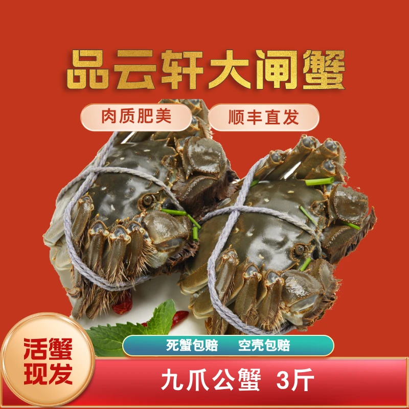 活蟹现发 | 品云轩大闸蟹 九爪公蟹3斤