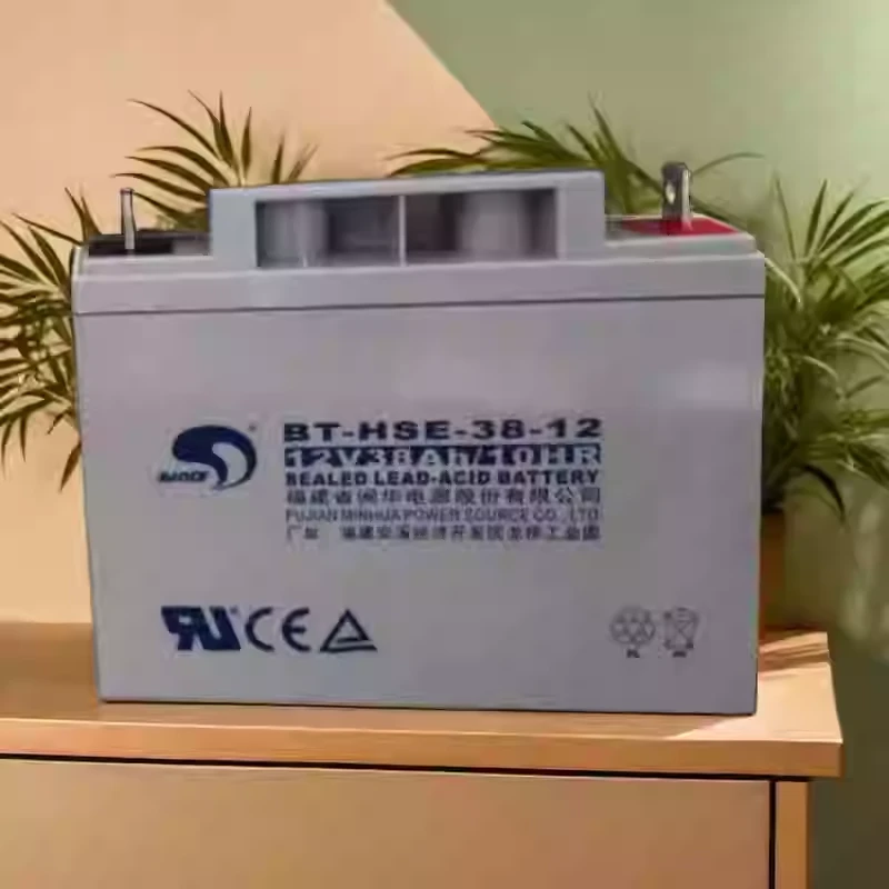 消防主机赛特蓄电池BT-HSE-38-12集中电源照明12V38AH泰和安海湾