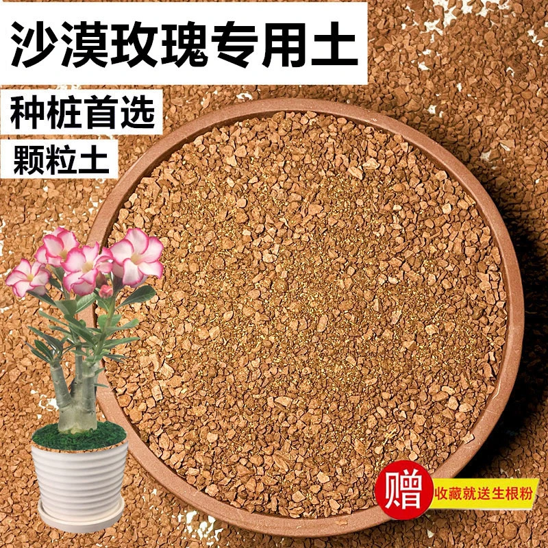 沙漠玫瑰盆景土营养土风化土颗粒土种植土酸土赤玉土种桩专用土